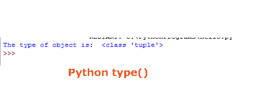 Python type